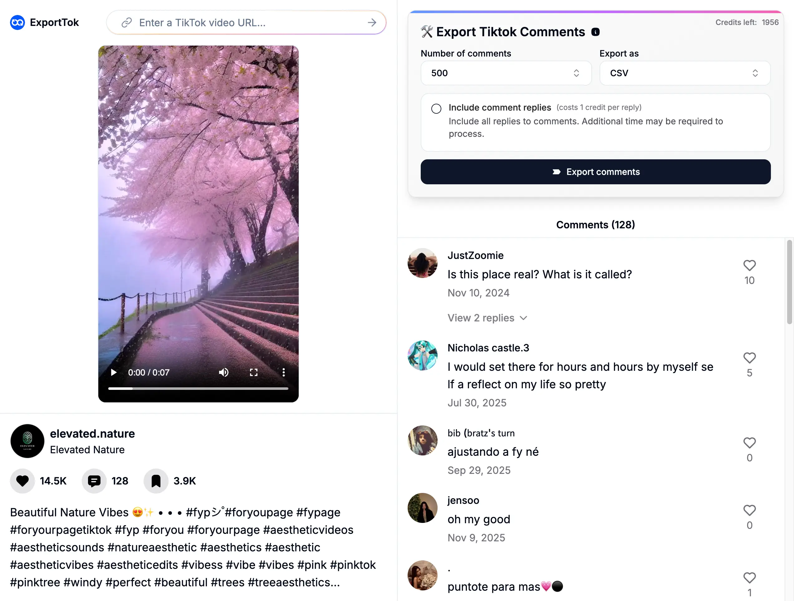 TikTok Comment Exporter